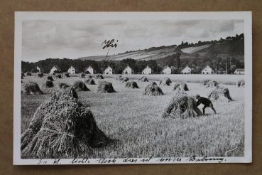 Postcard PC Bray-Lu 1930-1950 Les Maisons Neuves new houses field France 95 Val de Oise